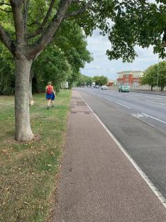 Tedious section for a couple of miles up the A32 behind the Royal Naval Armaments Depot